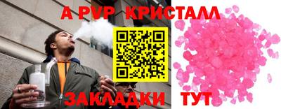 spice Кингисепп
